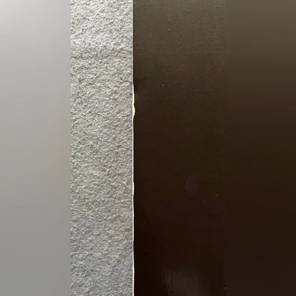 Tampa Bay Rays Skateboard Deck Raymond Mascot Bally Sports 31x7.75” Rare MLB - Picture 8 of 10